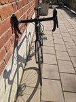 CANYON Endurace CF SL Disc 7.0