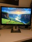 HP EliteDisplay E272q | 27"