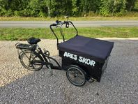 Cargobike kindergarden electric 