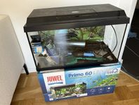 Juwel 60 Akvarium