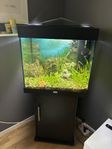 Akvarium Juwel Lido 120 L