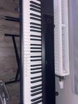 Piano Keyboard Casio Cdp-120