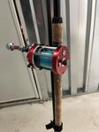 Ambassadeur 7001 + Daiwa Salmon Trigger 12’0”