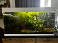 200l akvarium 