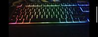 RAZER tangentbord 