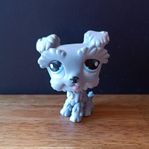 Littlest Pet Shop #1393 Schnauzer 