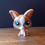 Littlest Pet Shop Chihuahua 