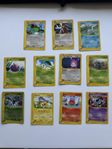 Pokémon kort skyridge set