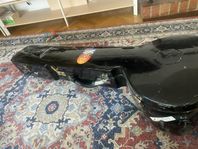 Sitar and hard case