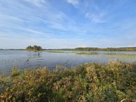 Mindre gård med 3,5 ha sjöutsikt och strandrätt 290.000:-