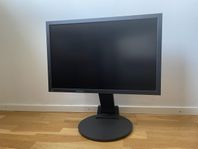 Eizo flexscan s2243W, 22 tum skärm