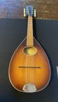 Mycket fin Levin Model 47 vintage mandolin