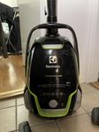 Dammsugare Electrolux Ultraone Green 3 in 1