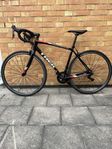 Trek Domane AL 3