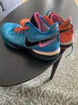 Nike Zoom Lebron Nxxt Gen (storlek 46)