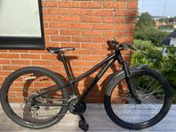 Specialized Mountainbike