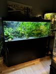 Juwel akvarium 450l (svart) 