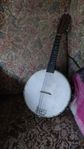 mandolin / banjo