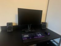 Gamingdator-Setup