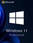 Windows 11 Professional - Nyckel