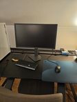 Wooting 60 he+, Zowie XL2546X, Zowie ZA13-c