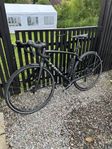 Trek Domane ALR 5 Disc 