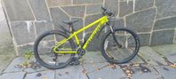 Mountainbike Spezialized Rockhopper