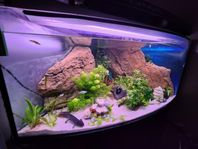 Akvarium 260 liter (Hörn)