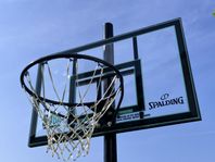 Basketkorg Spalding