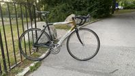 sintesi racer 56cm Ultegra 