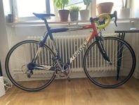 Wilier Triestina 56cm campagnolo 