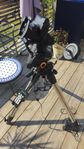 Celestron AVX montering 