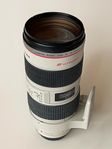 Canon EF 70-200mm f/2.8L USM