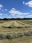 Hö och hösilage i stora och små balar 