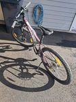 Cresent MTB/ Citybike