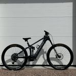 TREK Rail 9.9 Custom - Storlek Large