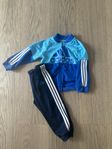 Adidas set 