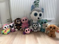 ty beanie boo’s