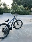 NS Bikes Zircus