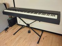 Yamaha P60