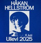 Håkan Hellström 6/6 2 st sittplatser