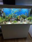 Akvarium 350 liter 