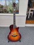 Taylor 5Z Pro Maple Top Chrome Hardware Tobacco Sunburst