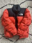 The North Face Puffer