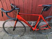 Cannondale Synapse Carbon 105 - stl 54