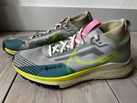 Nike Pegasus Gore-tex 40.5