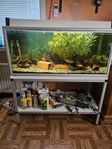 Akvarium 170 liter med stativ