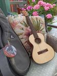 Tenor ukulele, Kala KA-STG, absolut mint condition!