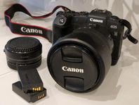 Canon EOS RP/Canon RF 24-105 F4 L IS USM