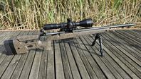 Bergara B14 HMR 308 win / Delta Optical Stryker HD 4,5-30x56